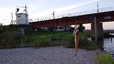 いろいろ釣り歩いたが