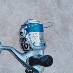 タチウオワインド