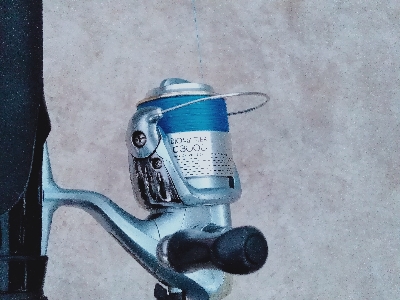 タチウオワインド