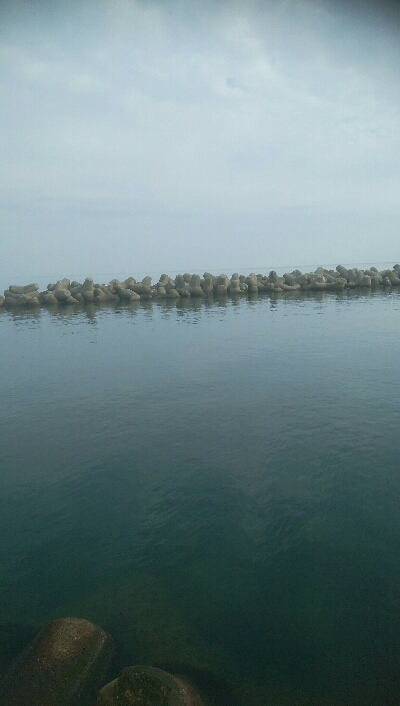 キジハタ2匹、小アジ 小カマス