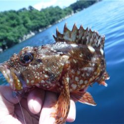 奥能登カヤックでライトロック調査♩