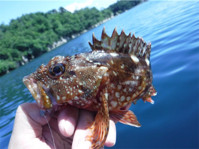 奥能登カヤックでライトロック調査♩