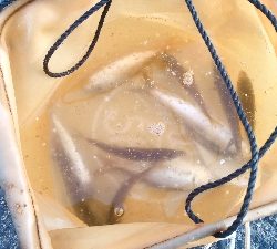 アジサバいっぱいだい2だん