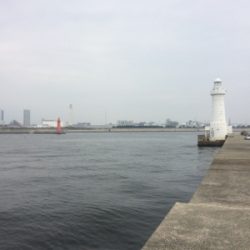 アジの方がいいのに…