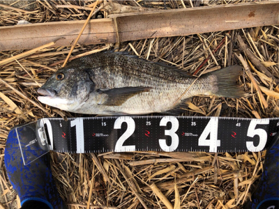 まだまだ暑い！