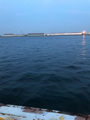 今日も懲りずにアジング