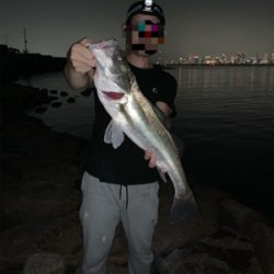 夕方のぶっ込み釣り