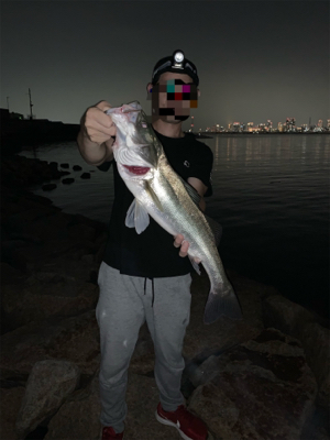 夕方のぶっ込み釣り