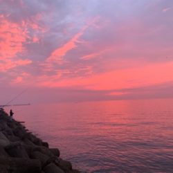 淡路遠征、シオキスチャリコ