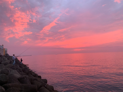 淡路遠征、シオキスチャリコ