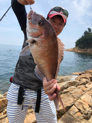 家島アオリイカ