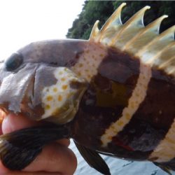 奥能登カヤックパート2