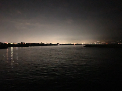 ケンサキイカ⑨