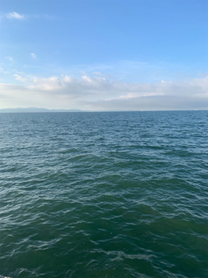 ショアジギング⇨チニング