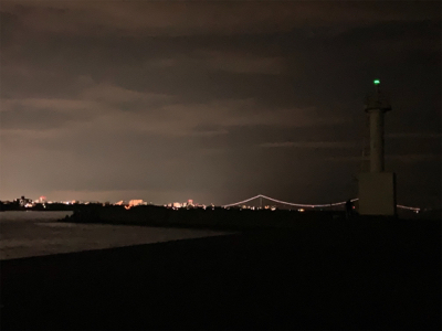 ケンサキイカ⑩