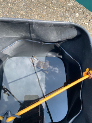 今年初アオリイカ！