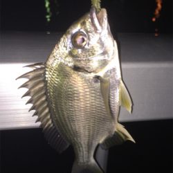 メッキ来た〜 (^O^)