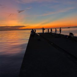 久々のポーアイ