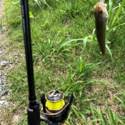 バスを探して出勤