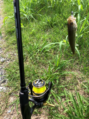 バスを探して出勤