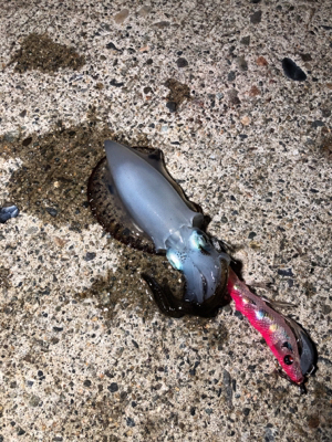 大雨の後に誰もいない堤防で