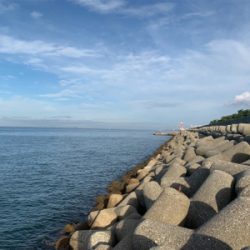 ツバスがキター！