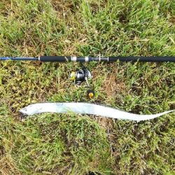 LSJigginger0700〜0730