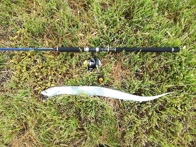 LSJigginger0700〜0730