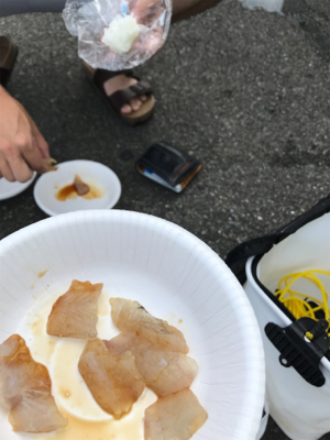 河口付近でヒラメ