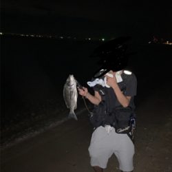 サーフチニング