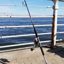 コスモスクエアショアジギ