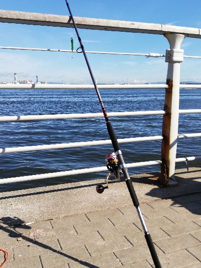 コスモスクエアショアジギ