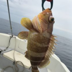 知り合いの船でタイラバ、アマラバ。