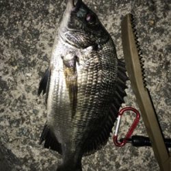 一枚はちびっこでした