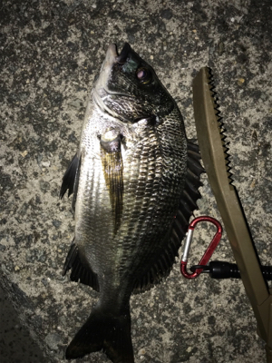 一枚はちびっこでした