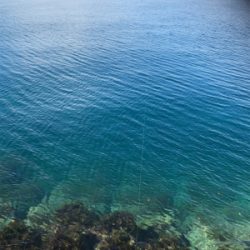 2.5号エギと同サイズ！