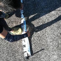 初めてのミニ堤防