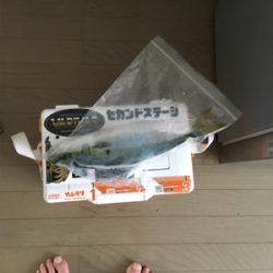 サバおもとめて4