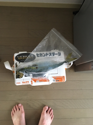 サバおもとめて4