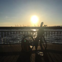 天保山 中央突堤 アジング修行のはずが…