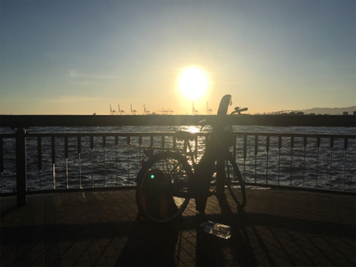 天保山 中央突堤 アジング修行のはずが…