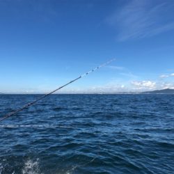 船タチウオ釣行