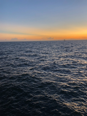 アジ、太刀魚は不発