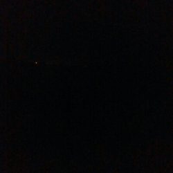 アオリイカ1杯・・・