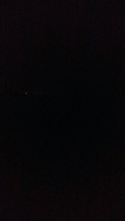 アオリイカ1杯・・・