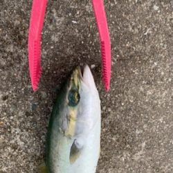 あれ、、?終了?