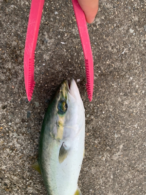 あれ、、?終了?