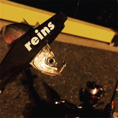 博多湾奥･荒津アジング