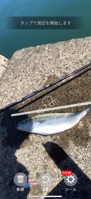 イカ調査＆ライトショア