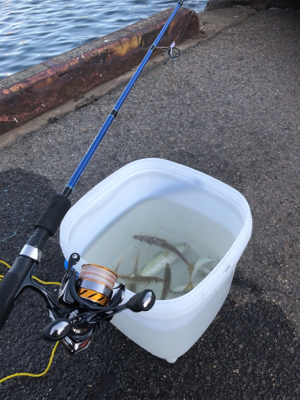 レズロスを買ったので試し投げに……